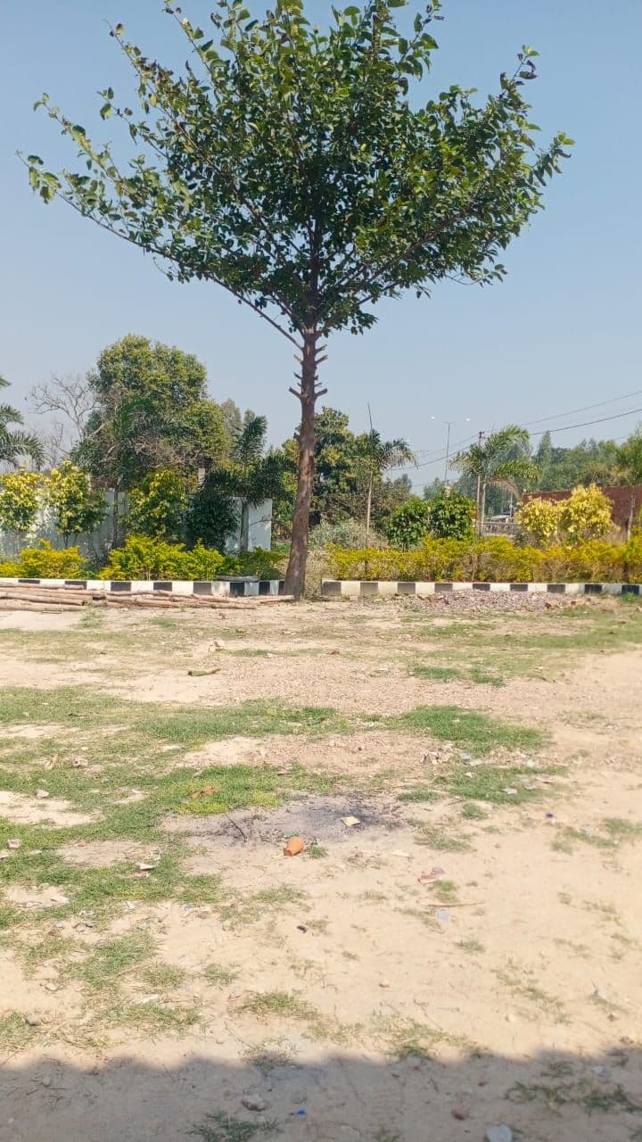 Samriddhi Vihar Phase 1 - View 1